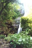 Foto da Ponte e da Cascata no Parque da Cachoeira