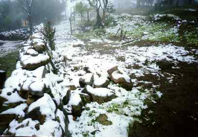 Foto da Neve em So Francisco de Paula